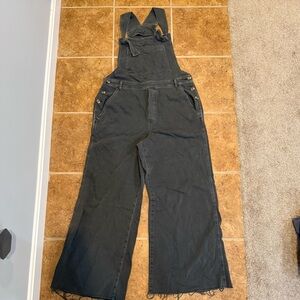Aerie Charcoal Denim Overalls